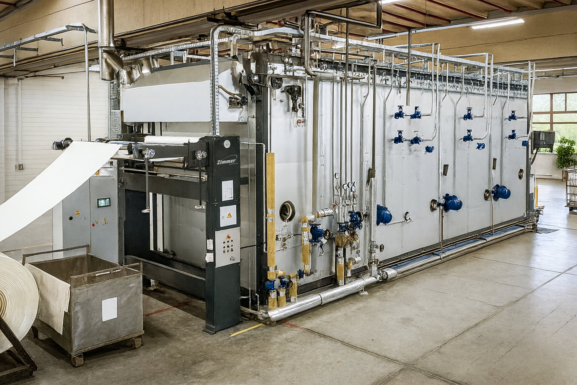 the new efficien loop steamer